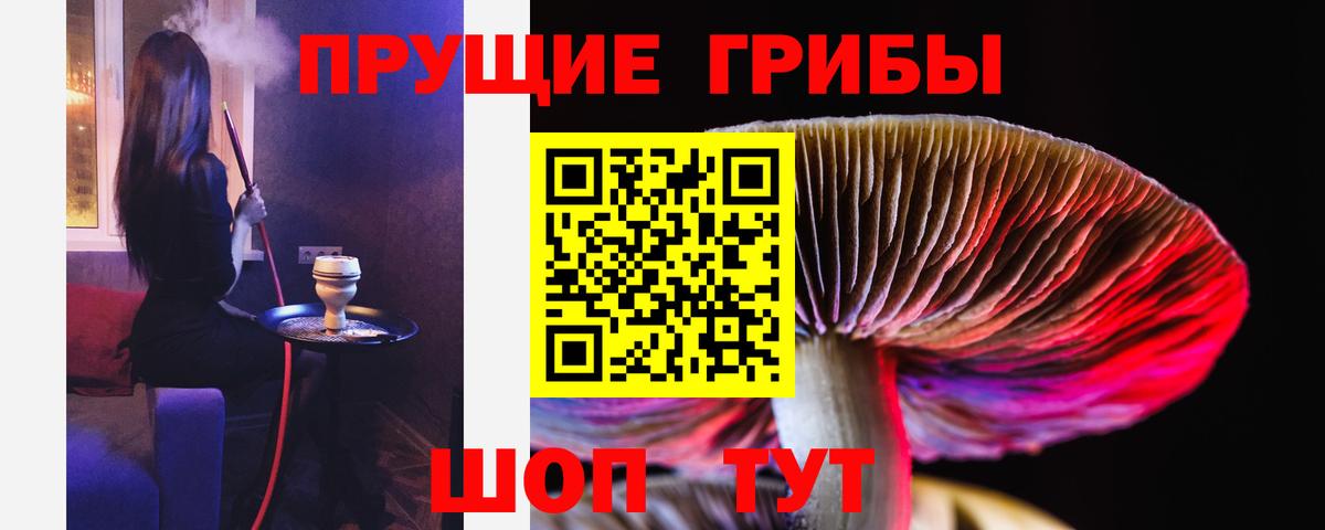 Галлюциногенные грибы MAGIC MUSHROOMS Сухой Лог